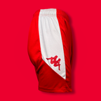 Short d’Entraînement – Adulte (2 coloris)